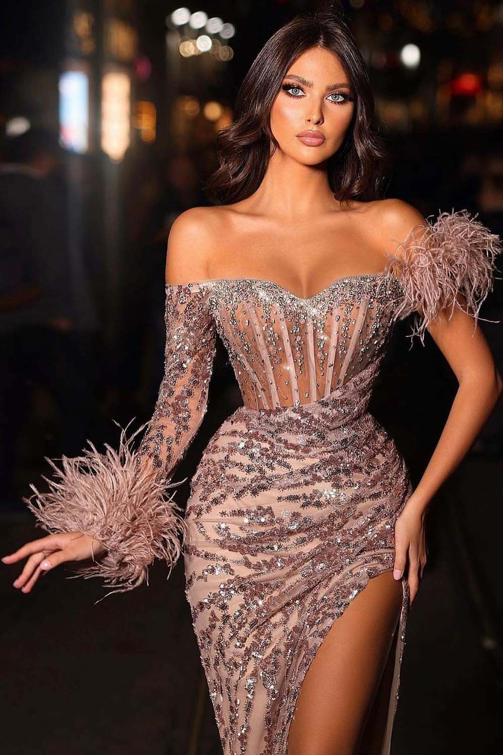 YQLNNE 047 Baby Blue Feathers Long Sleeves Evening Gown Mermaid Formal Dresses