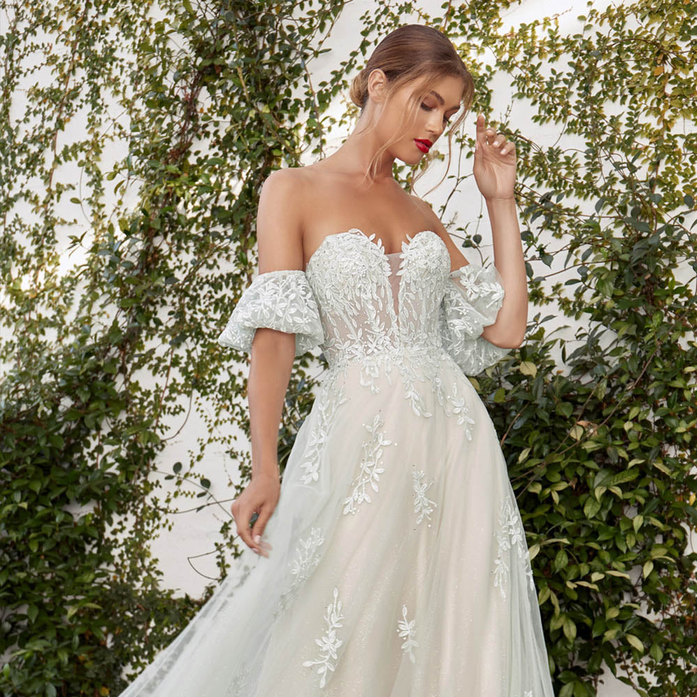 YQLNNE Sky Blue Off Shoulder Prom Dresses Long Tulle Appliques Formal Gown