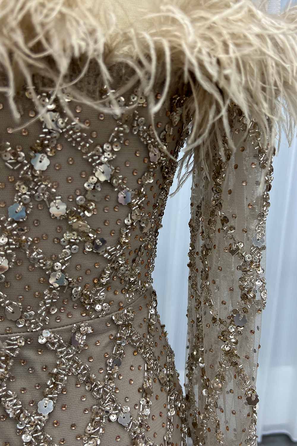 YQLNNE 0139 Nude Feathers Beaded Evening Dress With Sleeves