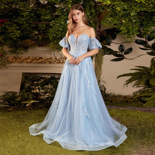 YQLNNE Sky Blue Off Shoulder Prom Dresses Long Tulle Appliques Formal Gown